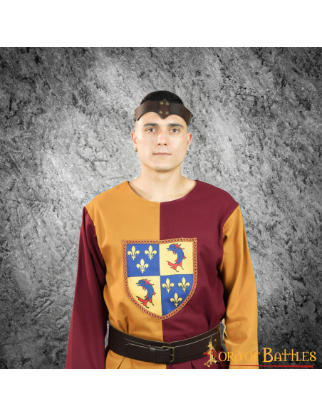 Medieval two-tone heraldic shield...