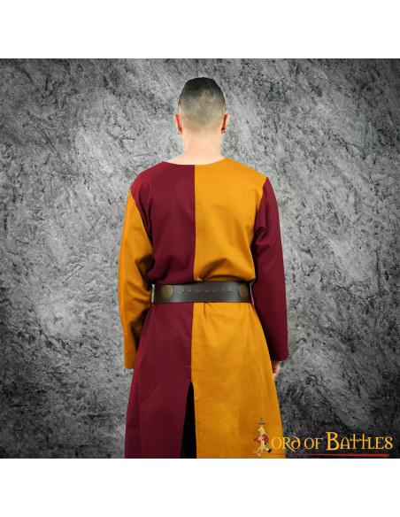 Medieval two-tone heraldic shield...