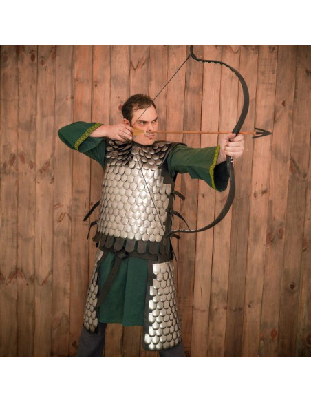 Viking warrior scale breastplate, LARP