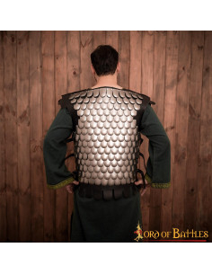 Viking warrior scale breastplate, LARP 2