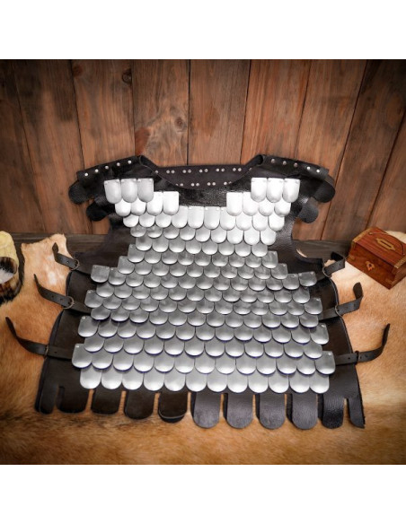 Viking warrior scale breastplate, LARP