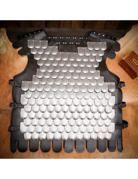 Viking warrior scale breastplate, LARP
