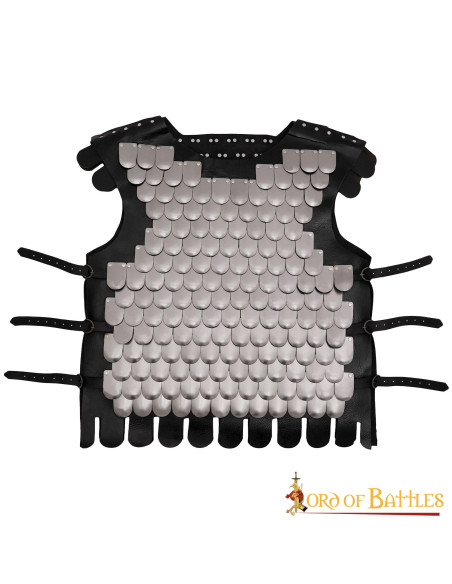 Viking warrior scale breastplate, LARP