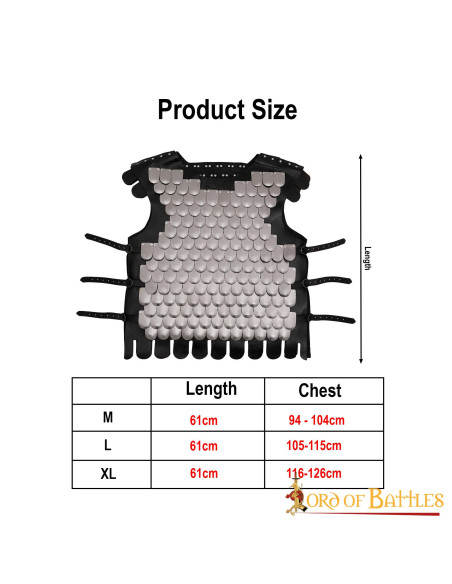 Viking warrior scale breastplate, LARP