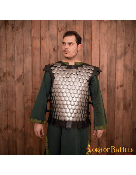 Viking warrior scale breastplate, LARP