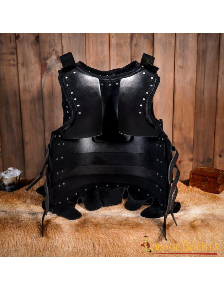 Medieval brigantine model Kusnacht S....