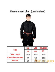 Black brigandine with riveted steel metal plates 2