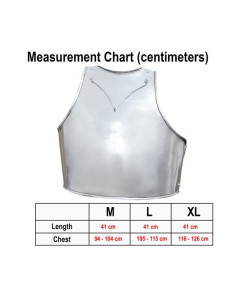 Italian Churburg medieval cuirass 2