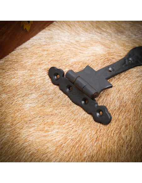 Rustic iron vintage door hinge Rustic iron vintage door hinge