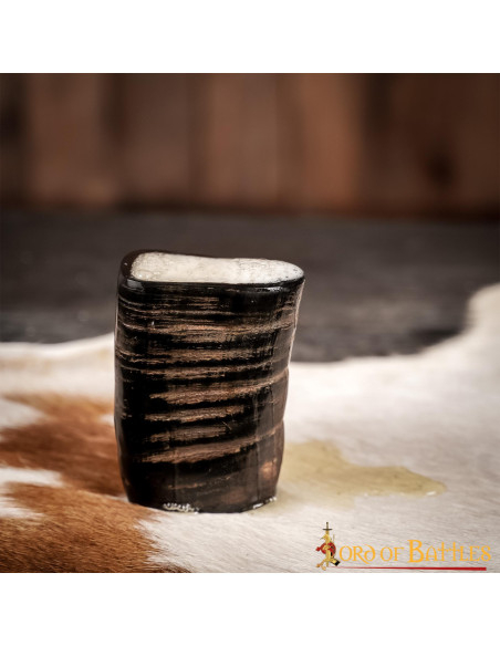 Set of 2 Viking Horn Shot Glasses