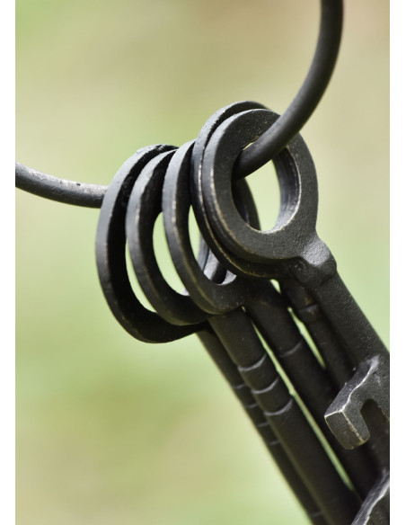 Set of 5 keys and keychain of the...