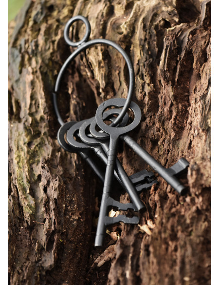 Set of 5 keys and keychain of the...