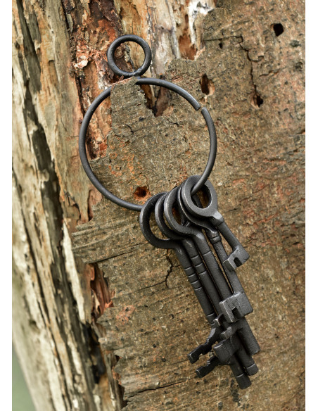 Set of 5 keys and keychain of the...