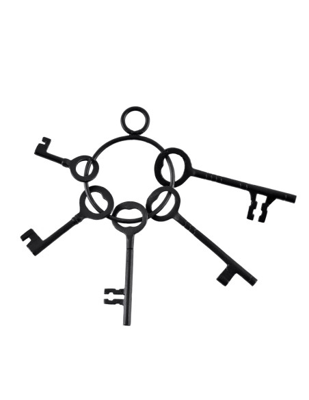 Set of 5 keys and keychain of the...
