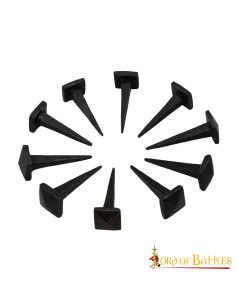 Set 10 hand-forged iron nails 2