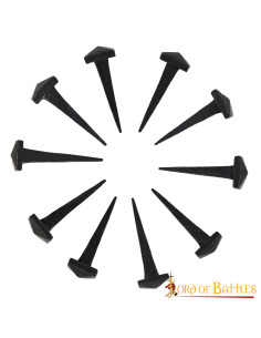 Set 10 hand-forged iron nails