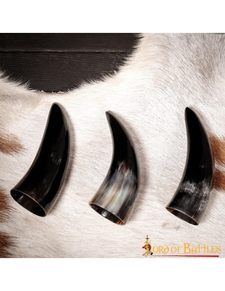 Set of 3 Viking ox horns (100 ml.)