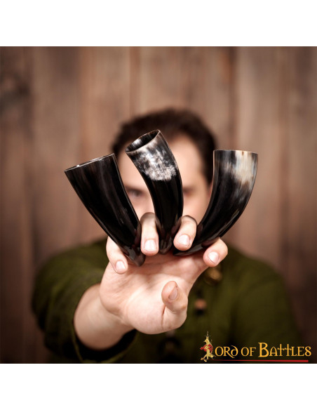 Set of 3 Viking ox horns (100 ml.)