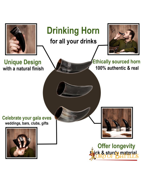 Set of 3 Viking ox horns (100 ml.)
