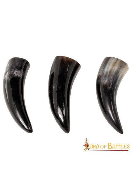 Set of 3 Viking ox horns (100 ml.)