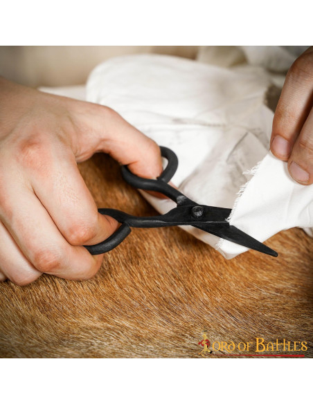 Functional medieval scissors in...