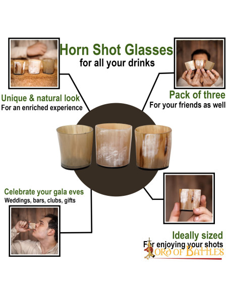 Set of 3 Viking natural horn shot...
