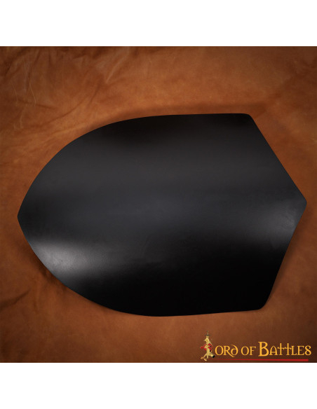 Smooth black medieval shield, to...