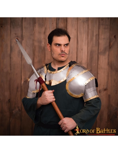 Medieval steel gorget Hussar model...