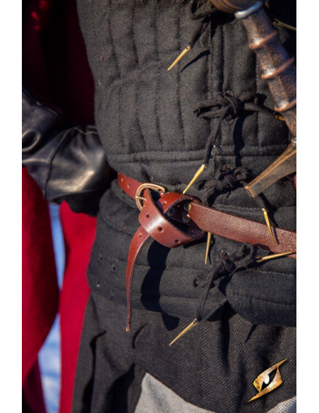 Holster with belt for swords,...