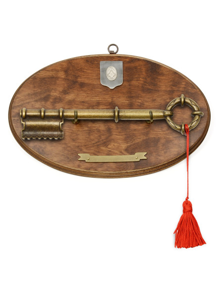 Panoply with the key of the holy door...