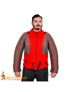 Mesh shoulders and sleeves with flat riveted rings