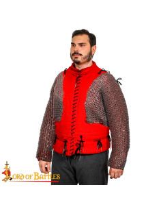 Mesh shoulders and sleeves with flat riveted rings 2