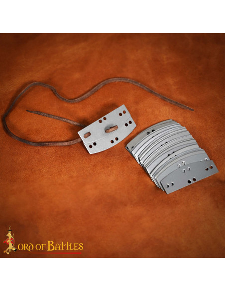 Pack of 100 steel plates for Visby...