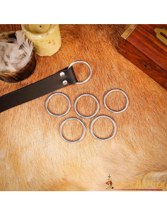 Pack of 5 nickel-plated steel rings for belts 2
