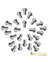 Pack of 100 mushroom head steel rivets for armor