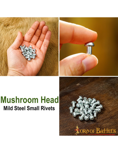 Pack of 100 mushroom head steel...