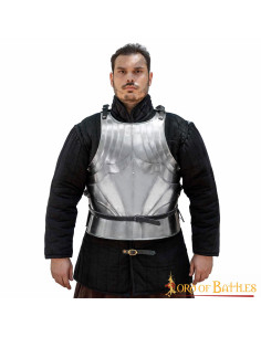Medieval Gothic cuirass in steel, polished finish. 2