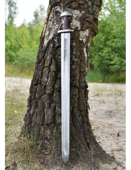 Duna Viking sword with scabbard, 10th...