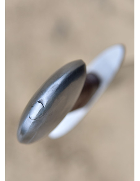 Duna Viking sword with scabbard, 10th...