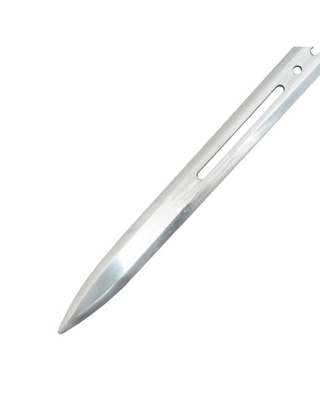 Traditional Chinese sword from the...