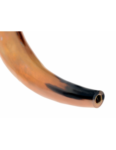 Viking horn with sound (30-35 cm.)