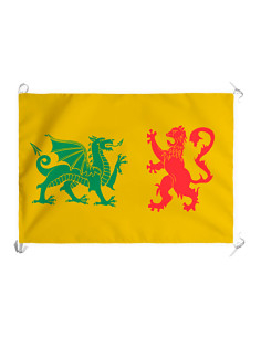 Medieval Royal Sueva Dynasty Banner of Galicia (100x70 cm.)