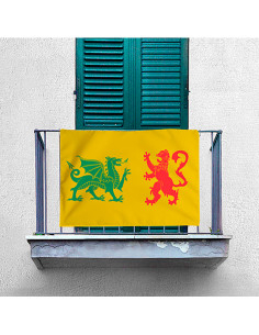 Medieval Royal Sueva Dynasty Banner of Galicia (100x70 cm.) 2