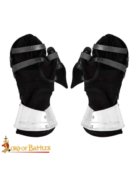 Medieval steel gauntlets Bivalvo...