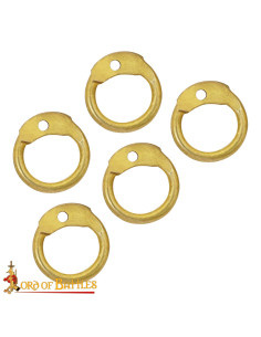 Round brass rings with chain mail rivets (6 mm.) 2
