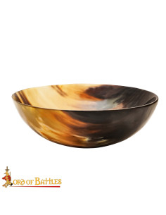 Medieval bowl large size (21.5 cm.) 2