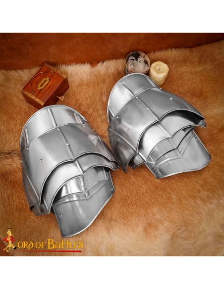 Medieval steel shoulder pads...