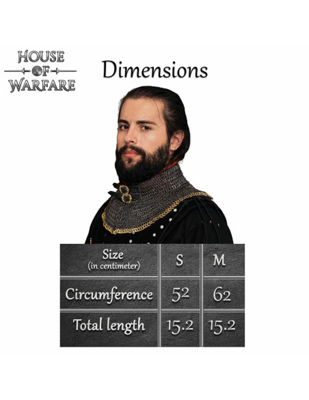 Chainmail gorget with padded lining...