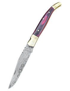 Laguiole style damascus steel knife with sheath (22 cm.)