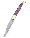 Laguiole style damascus steel knife with sheath (22 cm.)